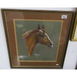 Portrait of Arab stallion - 'Pomare' signed C.A. Sharpley