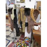 Collection of fur stoles