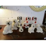 Collection of Staffordshire dogs