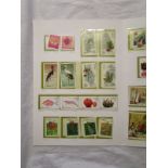 Stamps - 2 China collectors packs & Hong Kong album etc