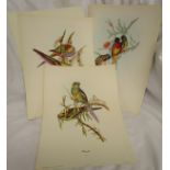 Bird Prints by J Gould and one other