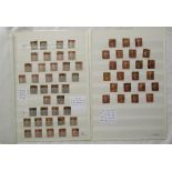 Stamps - Collection of 61 Penny Red stamps to include perf (16 & 14), imperf, blued & white paper