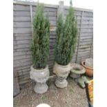 Pair of stone pedestal planters with trees