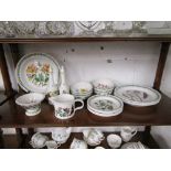 Large collection of Portmeirion over 2 shelves