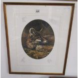 L/E & signed print - Fox by Mick Cawston