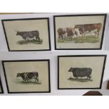 4 etchings - George Garrard's Highland cattle plates from his book