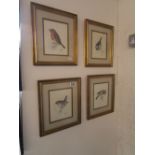 Set of 4 bird pictures