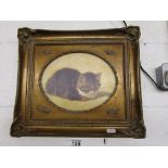 Cat print in ornate gilt frame