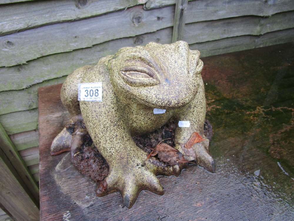 Stone toad