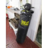 Everlast punch bag, gloves & speedball