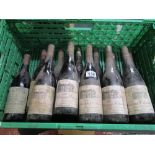 12 bottles of Saumur-Champigny 1990/92/93 & 95