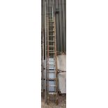 Aluminium ladder & extending wooden plum picking ladder
