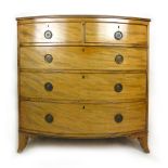 An early 19th century mahogany bow fronted chest of two short over three graduated drawers on