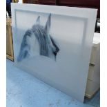 PHOTOPRINT, grey horse, on acrylic, 160cm x 120cm.