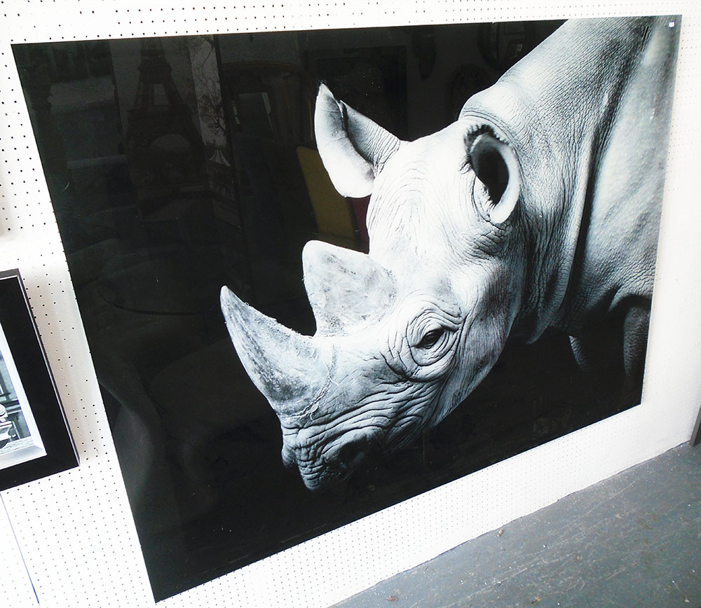 PHOTOPRINT, of a rhinoceros, on acrylic, 160cm x 120cm.