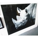 PHOTOPRINT, of a rhinoceros, on acrylic, 160cm x 120cm.