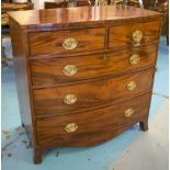 BOWFRONT CHEST, Regency mahogany of two short and three long drawers with oval brass handles,