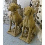 GARDEN DOG STATUES, a pair, 19th century Cotswold stone style weathered finish, 75cm H x 58cm L.