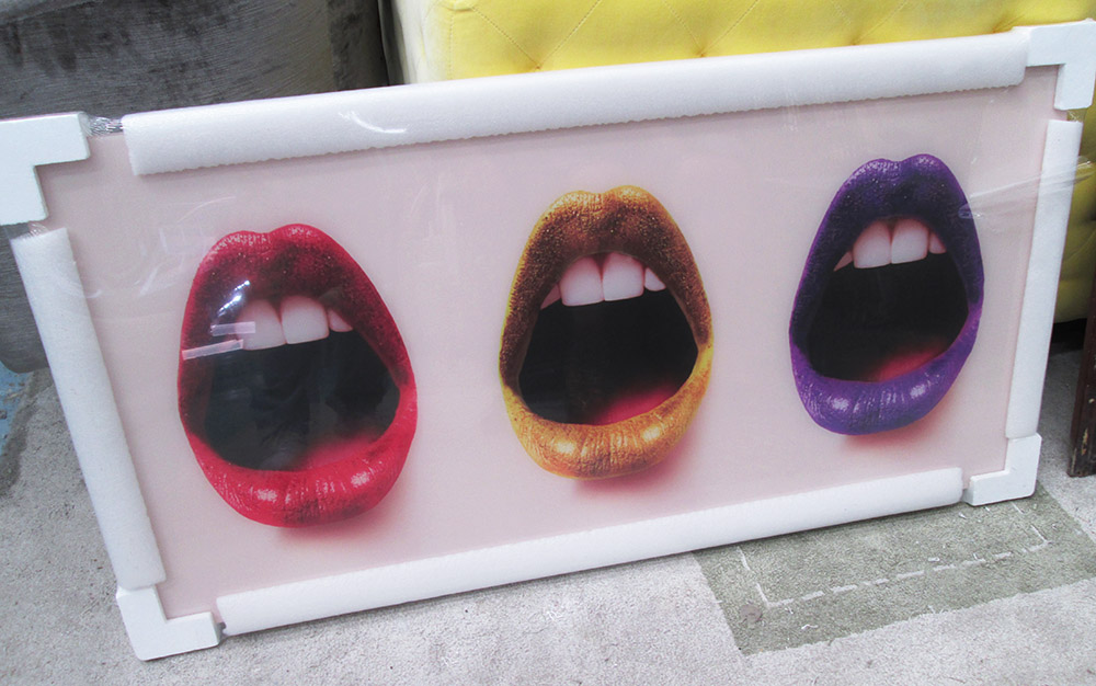 21ST CENTURY PHOTOPRINT, lips, on acrylic, 60cm x 120cm.