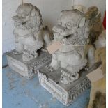CHINESE STYLE TEMPLE LIONS, a pair, 65cm L x 45cm x 85cm H.