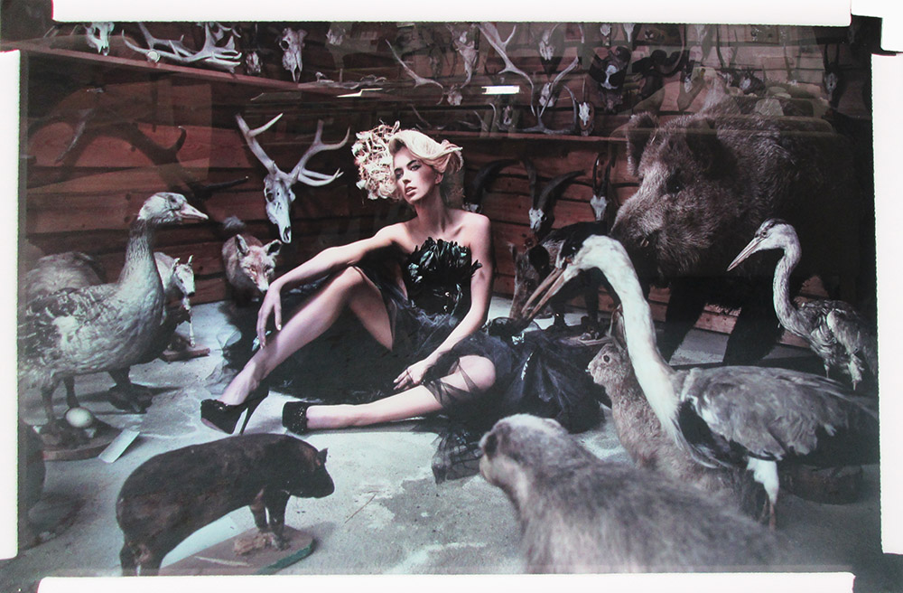 21ST CENTURY PHOTOPRINT, 'Girl and taxidermy' on tempered glass, 100cm x 150cm.