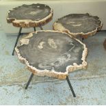 SIDE TABLES, a set of three, petrified tree trunks on metal supports, largest 61cm x 52cm x 50cm H.