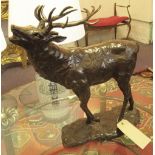 BRONZE DEPICTING A STAG ROARING, 50cm H x 50cm.