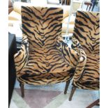 TIGER STRIPED ARMCHAIRS, a pair, each 70cm W x 105cm H.