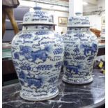 CHINESE GINGER JARS, a pair, porcelain,with Phoo decor, 44cm x 25cm.