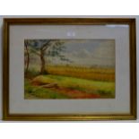 11½" X 17½" GILT FRAMED WATER COLOUR "CORNFIELD" BY J. BARNES 1886