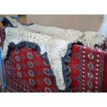 TAXIDERMY INTEREST - 87" OLD LEOPARD SKIN RUG COMPLETE WITH HEAD, LIMBS & TAIL