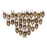 GROUP OF MOUNTED DEER ANTLERS 1970S AND 80S comprising twenty-nine pairs mounted on wood plaques,