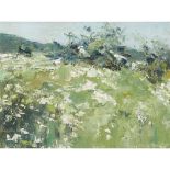 [§] PERPETUA POPE (SCOTTISH 1916-2013) DAISIES Signed, oil on board 29cm x 39cm (11.5in x 15.25in)
