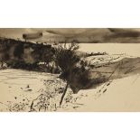 [§] ROBERT HENDERSON BLYTH R.S.A., R.S.W. (SCOTTISH 1919-1970) THE FIELD BORDER Ink and wash 28cm