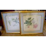 A pair of Chinese style floral prints, modern. 30cm x 36cm