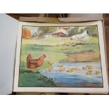 After Eileen A.Soper 'The Enid Blyton Nature Plates' 60 loose colour plates published by Macmillan &