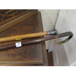 A horn handled cane and a white metal handled cane (2)