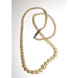 A cased string of cultured pearls on white gold clasp