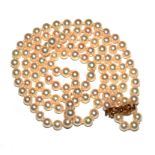 A string of cultured pearls on 9 carat gold clasp