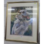Christopher Cole Portrait of a gun dog Pastels, signed, 57cm x 43cm