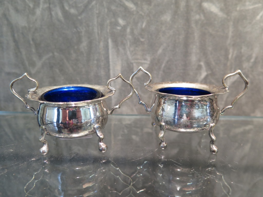 A pair of silver salts complete with blue liners