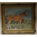 Sylvia Macartney 'Robin' - Portrait of a horse Pastel Signed and dated November 1957 47cm x 57cm