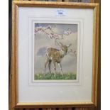 'Spring Time' A fawn standing under a tree with blossom Watercolour 14.5cm x 19cm