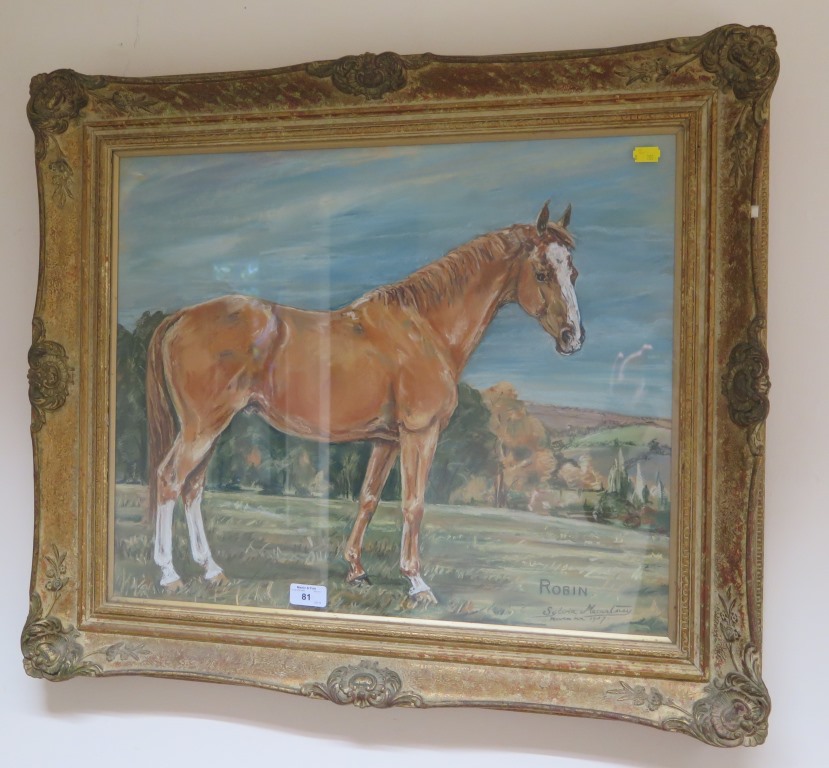 Sylvia Macartney 'Robin' - Portrait of a horse Pastel Signed and dated November 1957 47cm x 57cm