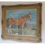 Sylvia Macartney 'Robin' - Portrait of a horse Pastel Signed and dated November 1957 47cm x 57cm