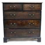 A GEORGE III MAHOGANY CHEST OF TWO SHORT AND THREE LONG DRAWERS with brass swan neck handles and