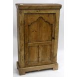 A 19TH CENTURY PINE CUPBOARD with an arching panelled door, 70cm wide x 108cm high