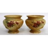 A PAIR OF VICTORIAN WORCESTER BLUSH IVORY BOWLS with floral decoration, each 12cm diameter x 9.5cm