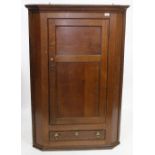 A GEORGE III OAK CORNER CABINET with a single panelled door above a single short drawer, 19cm wide x