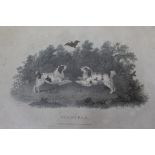 A SELECTION OF PRINTS, PICTURES AND WATERCOLOURS of spaniels and pheasants, one etching entitled '